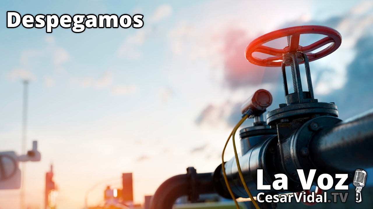 Putin corta el gas, miedo en Alemania y ganancias para India, China y Turquía