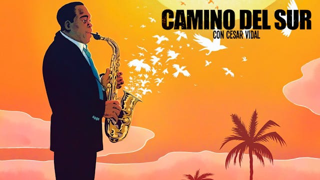 Camino del Sur - 21/01/24