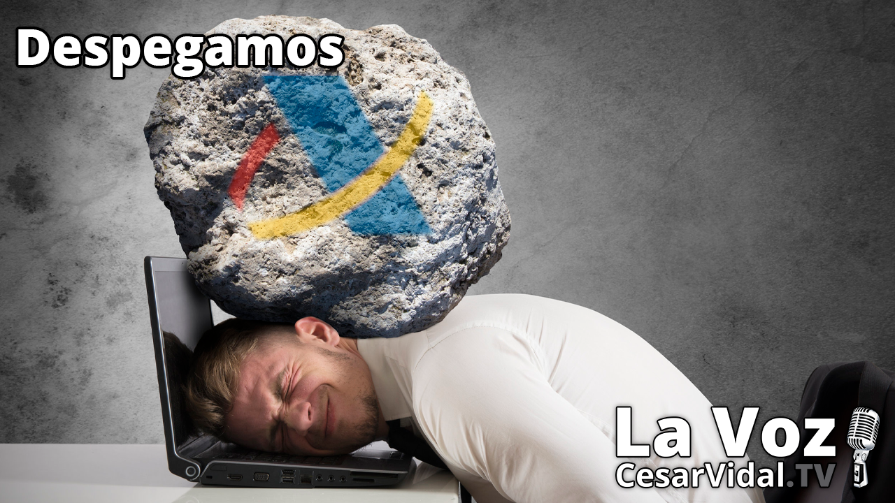 Atraco a autónomos, el CNI protege a los empresaurios y China sale al rescate