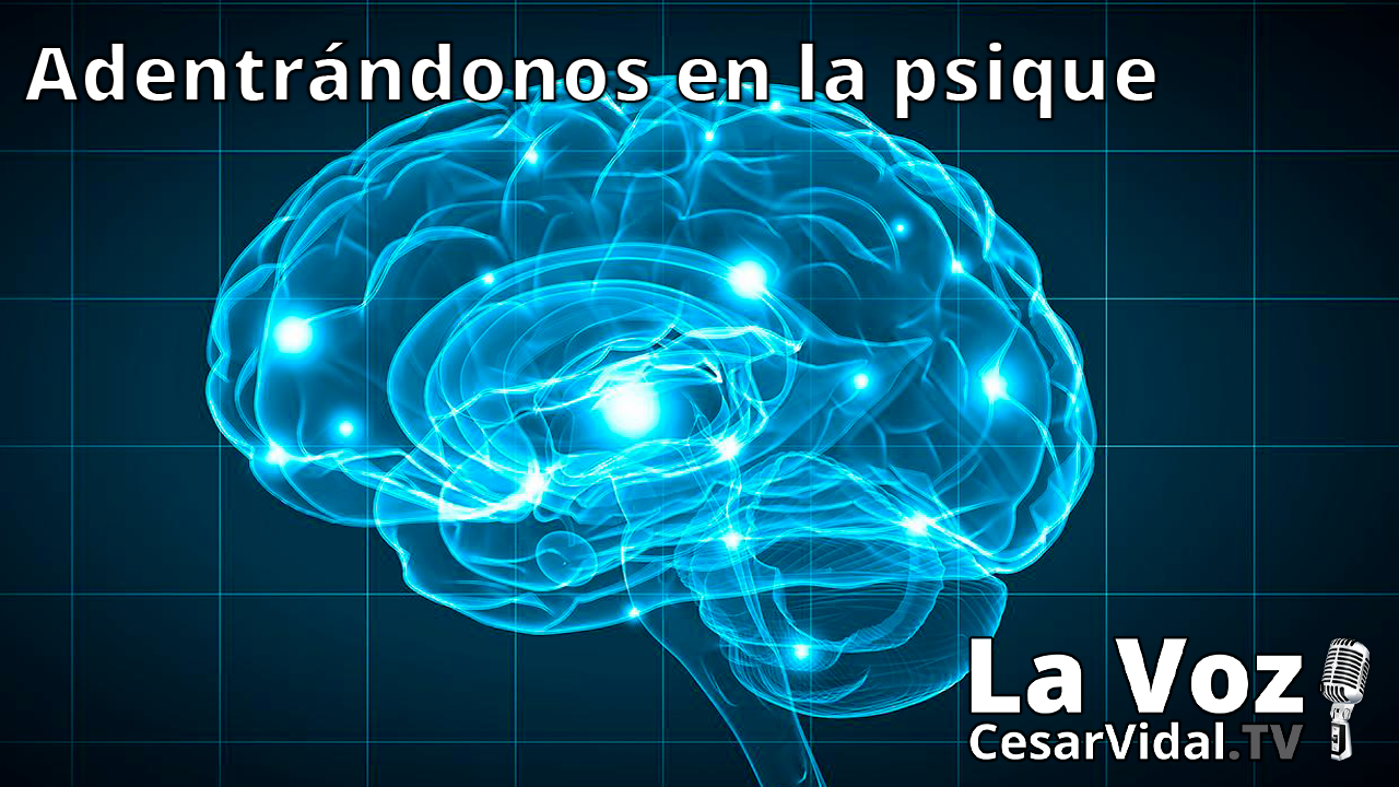 La neuropsicología de las emociones - 13/01/21