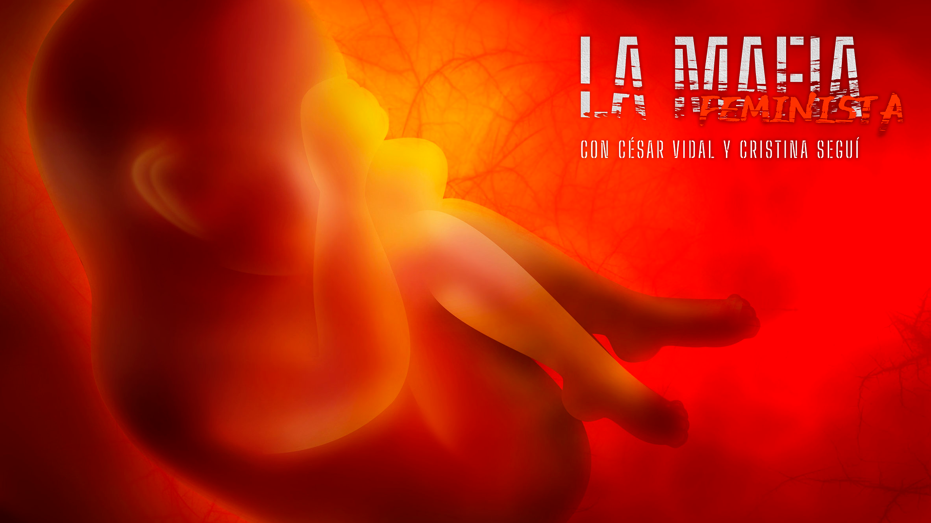 El feminismo, herramienta de las millonarias para matar a niños pobres - 22/05