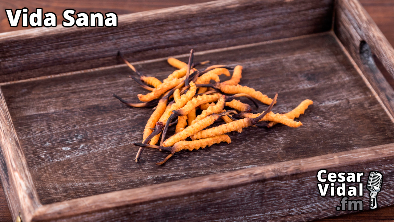 Afrodisiaco Inmunomodelador - 14/02/24