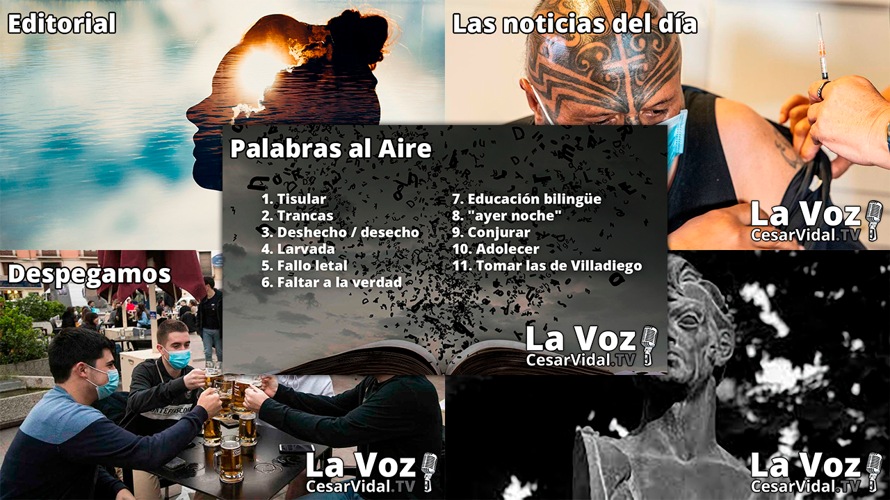 Programa Completo - 11/10/21