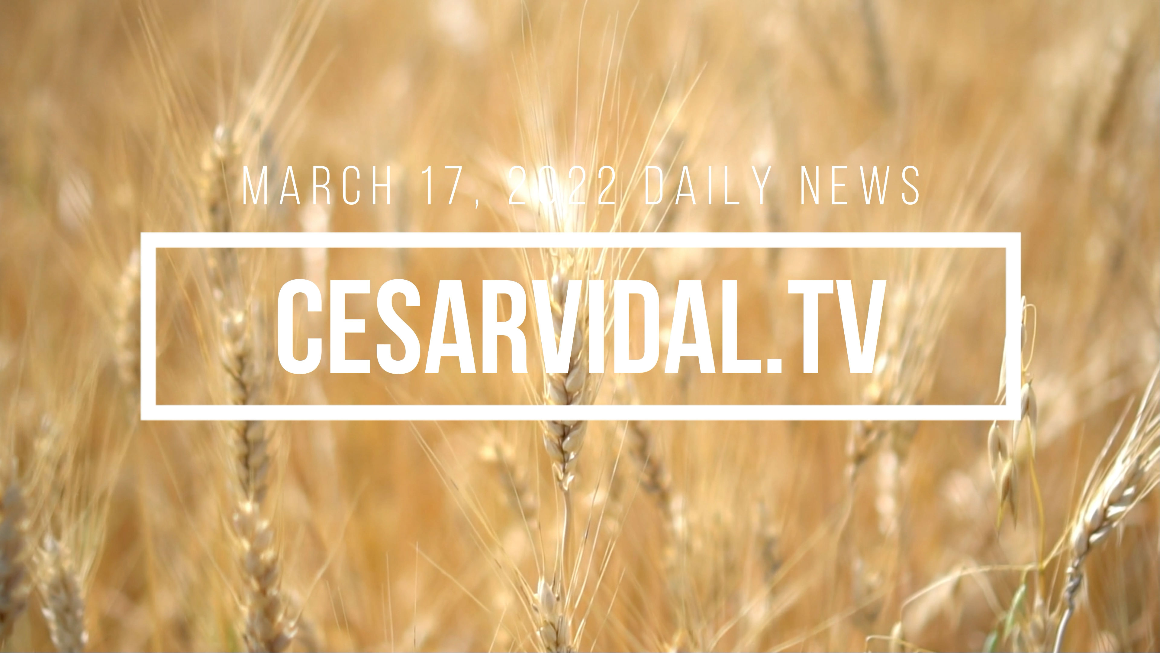 The spectre of hunger looms over the European Union - 03/17/22