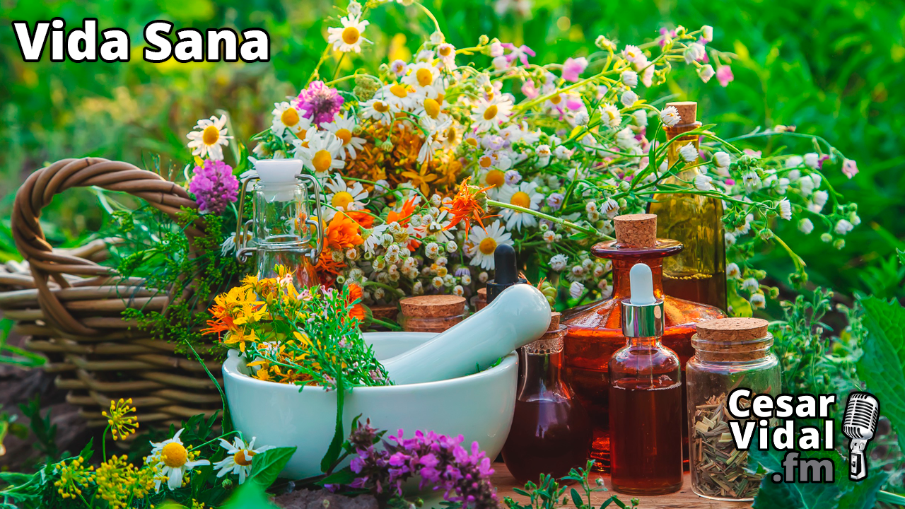 Infusiones para limpiar el sistema linfático - 08/02/23