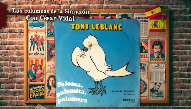 Paloma, palomita, palomera - 26/06/24