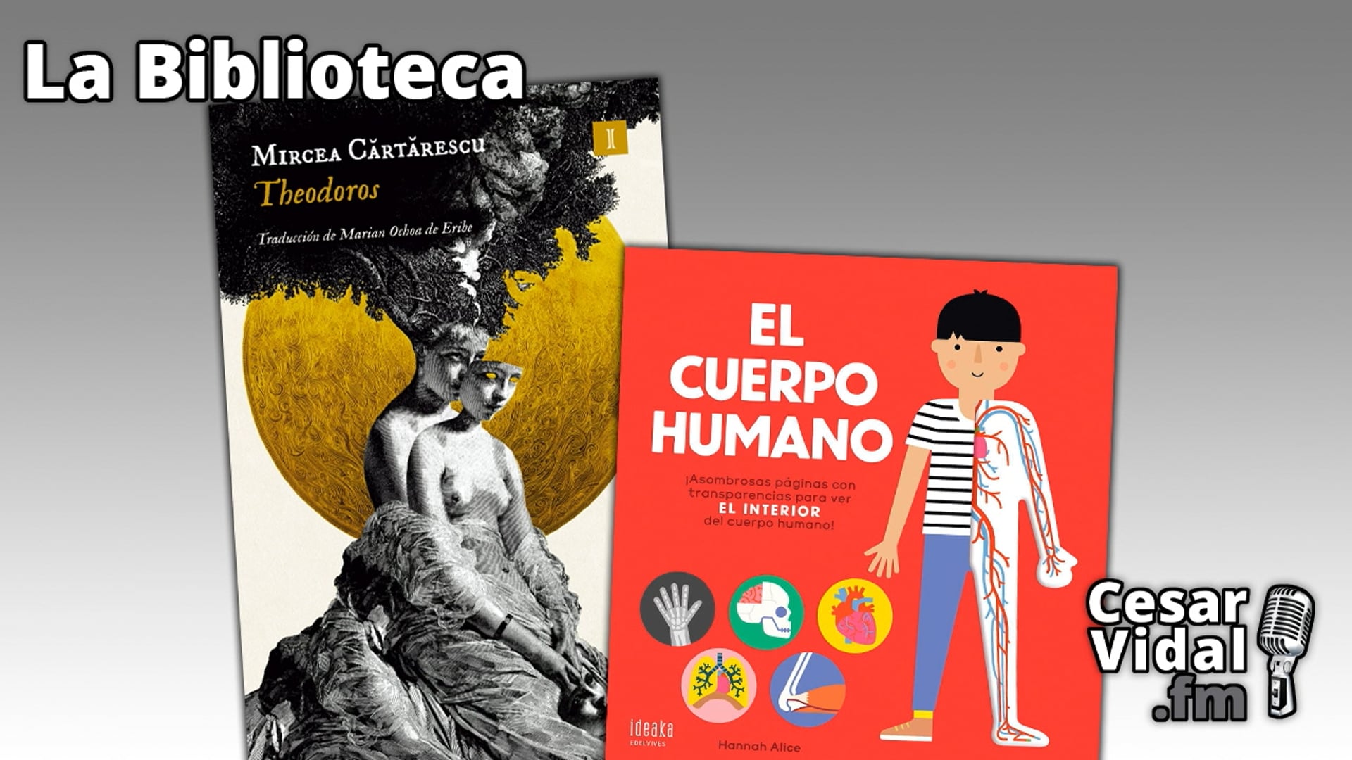 "Theodoros" y "El cuerpo humano" - 09/01/25