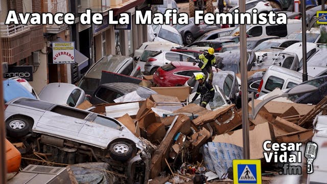 Avance de La Mafia Feminista - 01/11/24