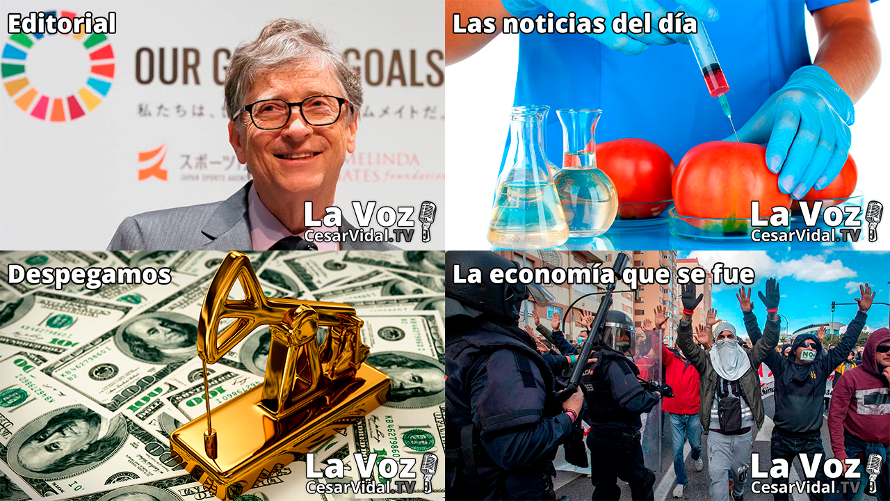 Programa Completo - 23/11/21