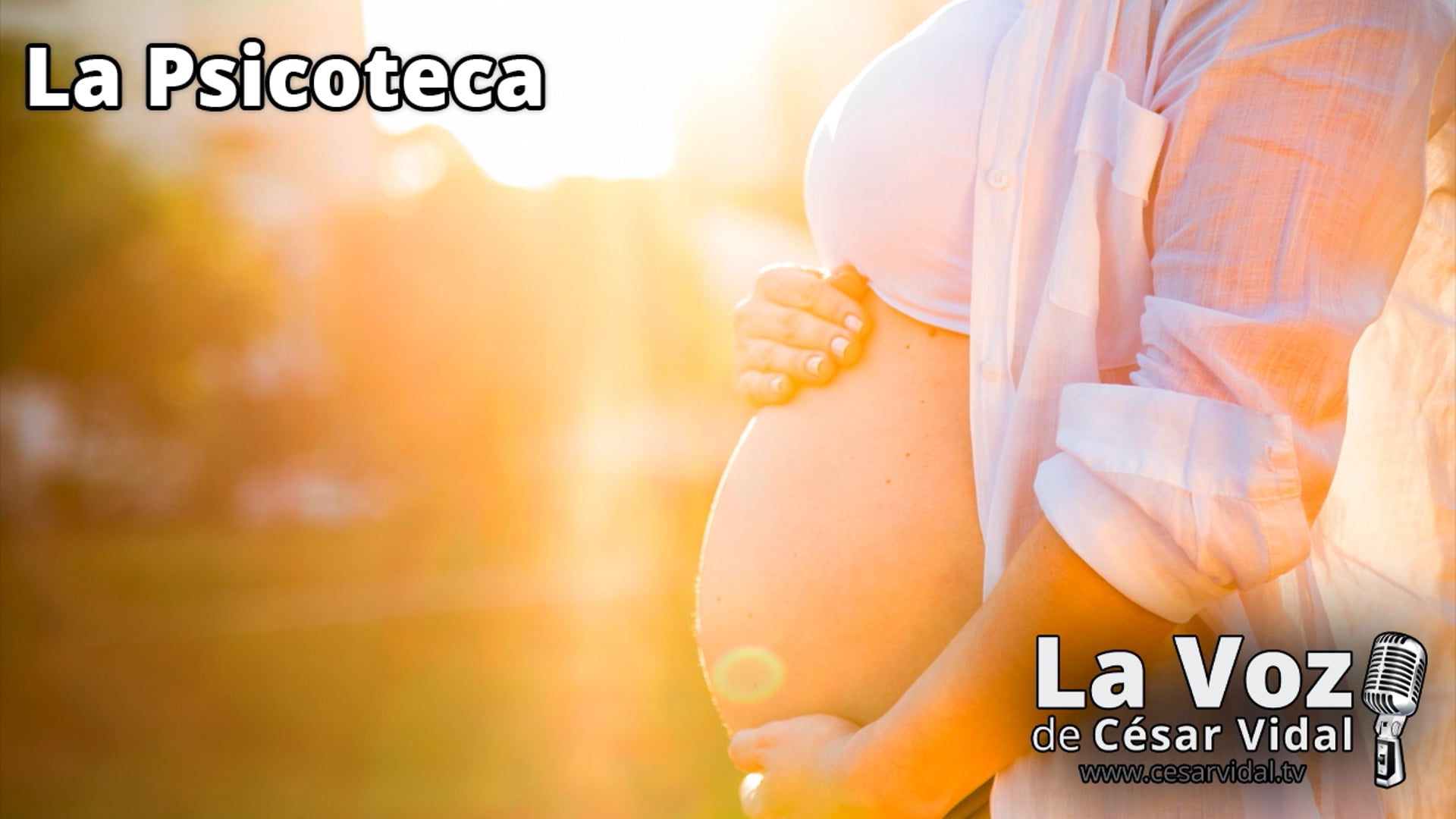 Psicología Prenatal: Criando desde el Vientre - 26/02/25
