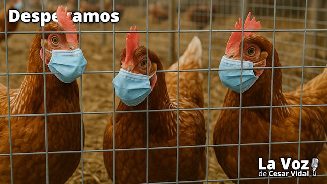 Fin bloqueo EEUU, confinamiento aviar...