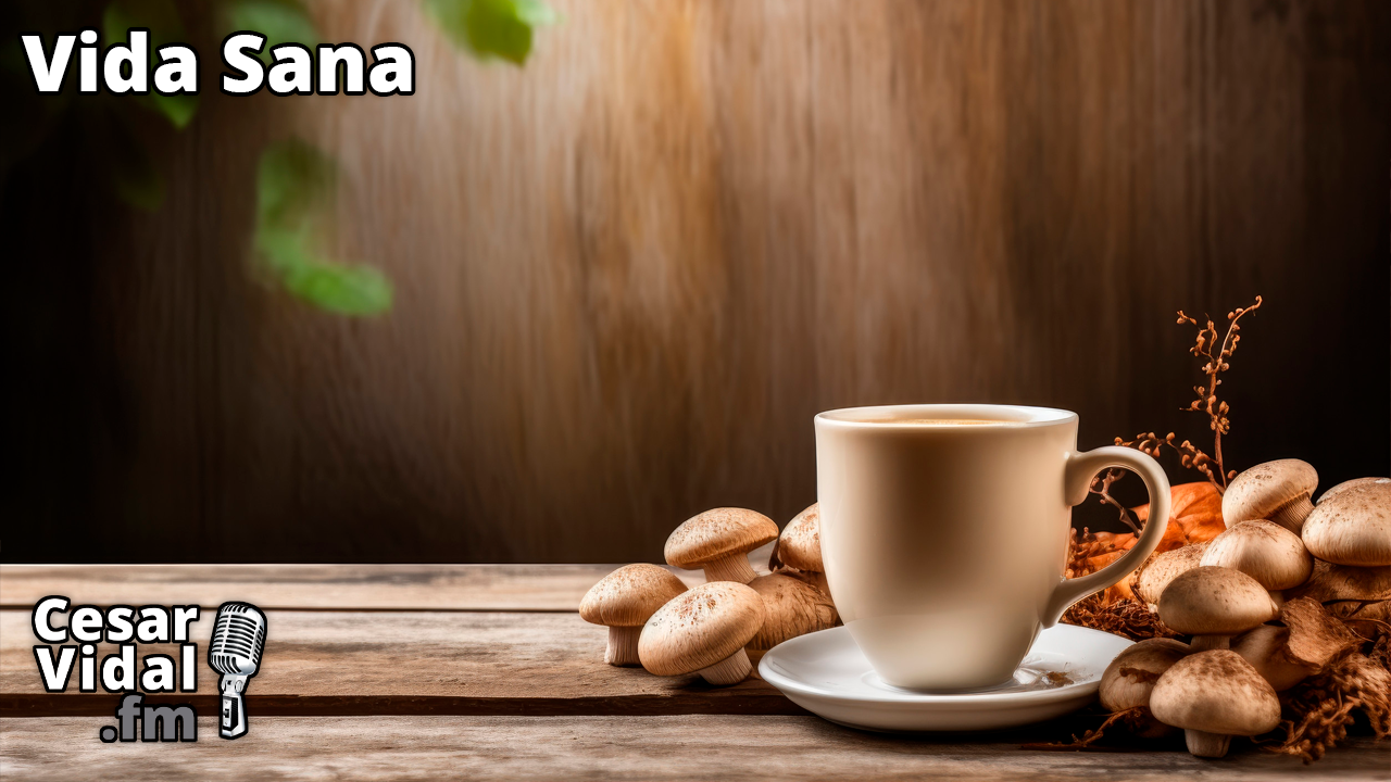 El café de hongos... ¿Merece la pena? - 08/01/25