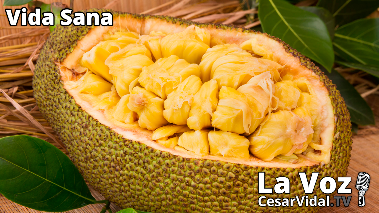 Los secretos del Jackfruit - 08/12/21