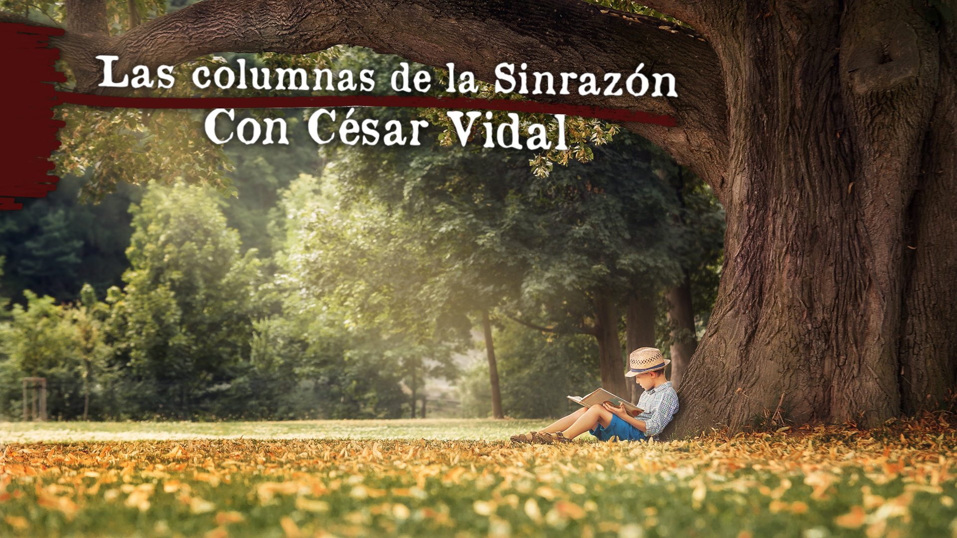 Sueños de infancia - 15/02/23