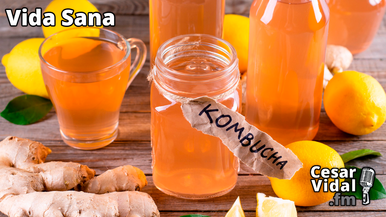 Kombucha: "El hongo de la inmortalidad" - 19/04/23