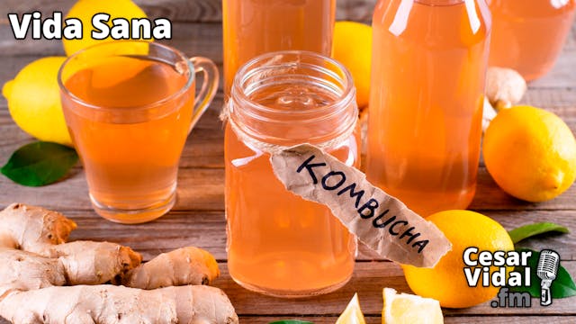 Kombucha: "El hongo de la inmortalida...