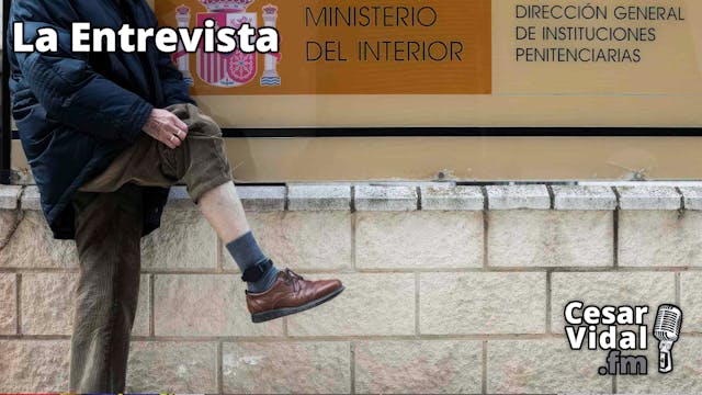 La verdad sobre las pulseras telemáti...