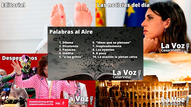 Programa Completo - 08/11/21