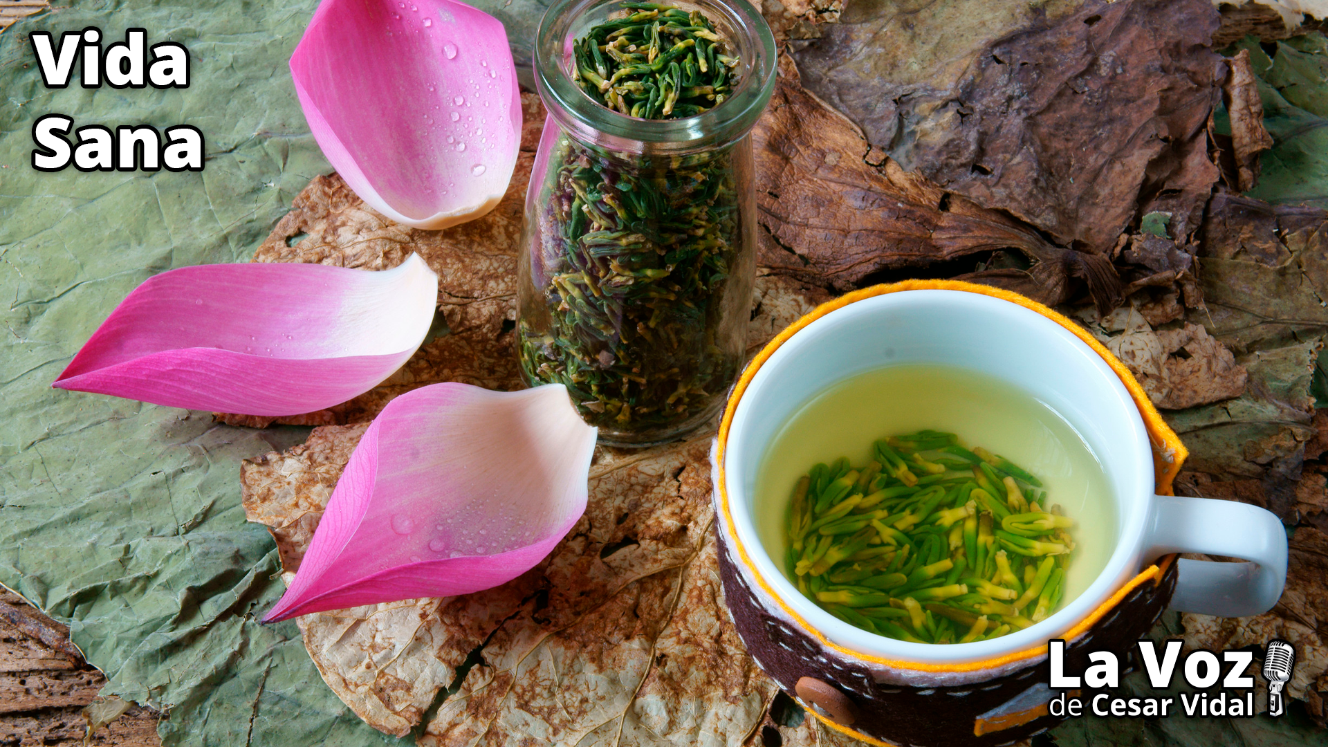 Té para el cuerpo y el espíritu - 28/05/25