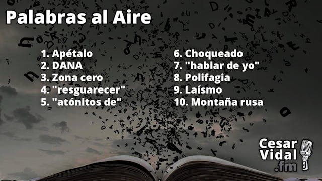 Palabras al aire - 04/11/24