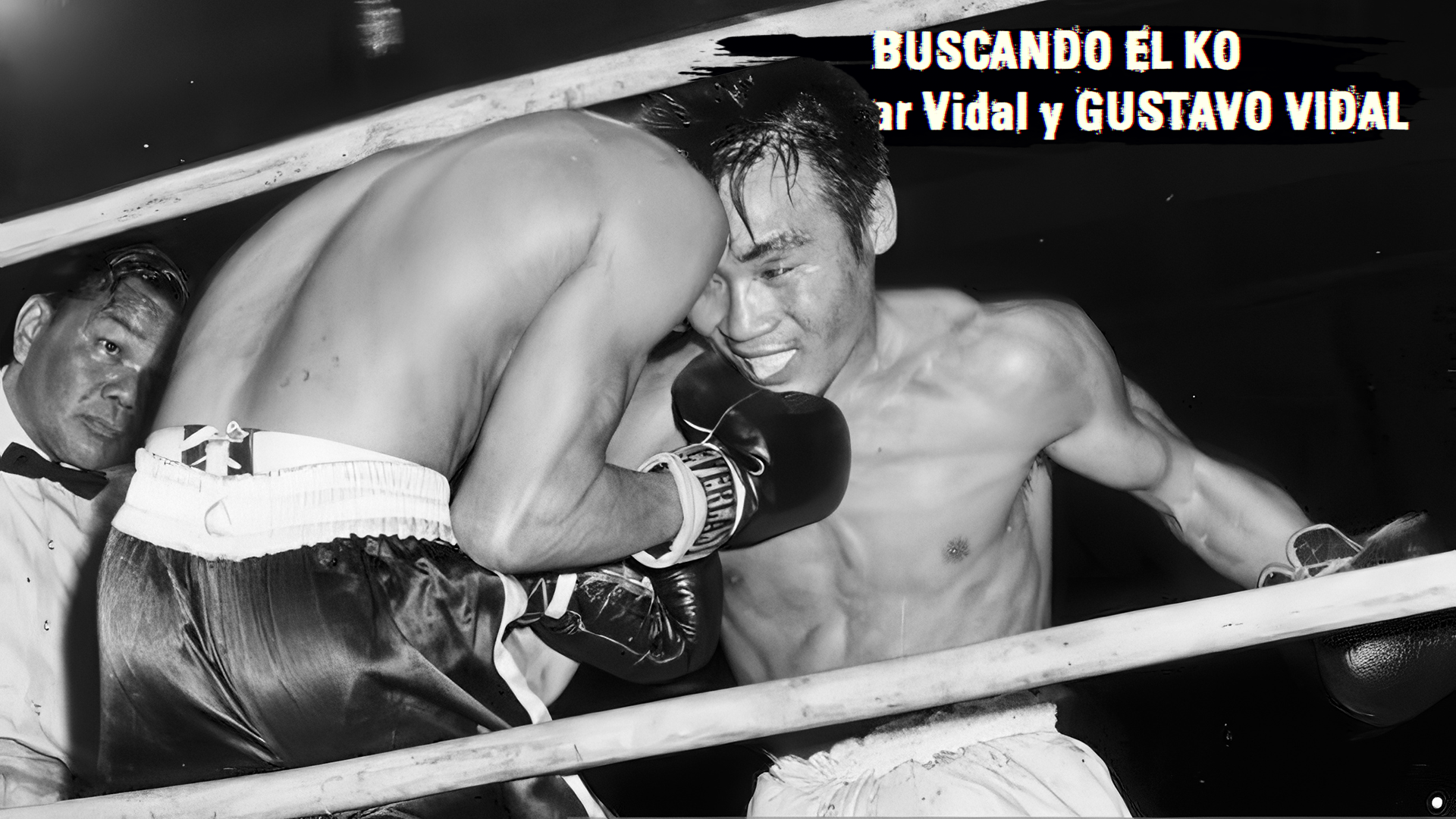 Masahiko Fighting Harada, master de jab y ganchos - 13/07/24