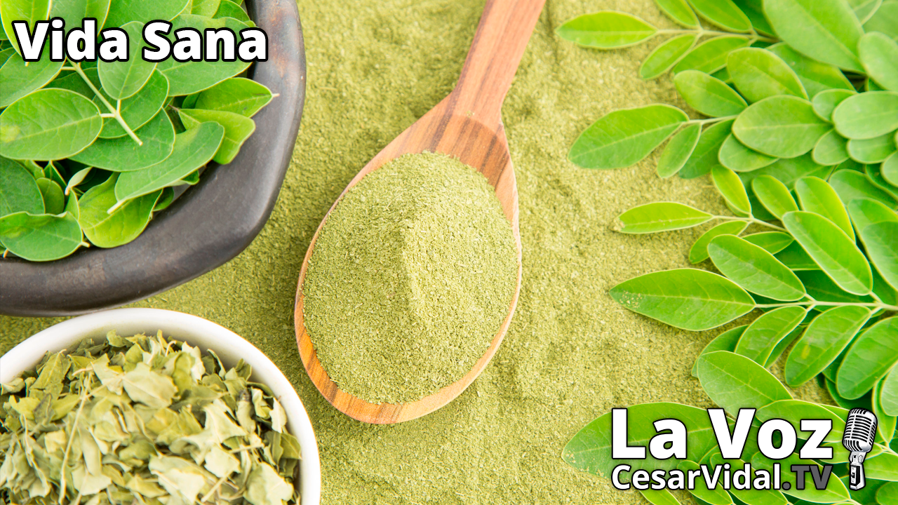 La Moringa: El superalimento de moda - 17/11/21