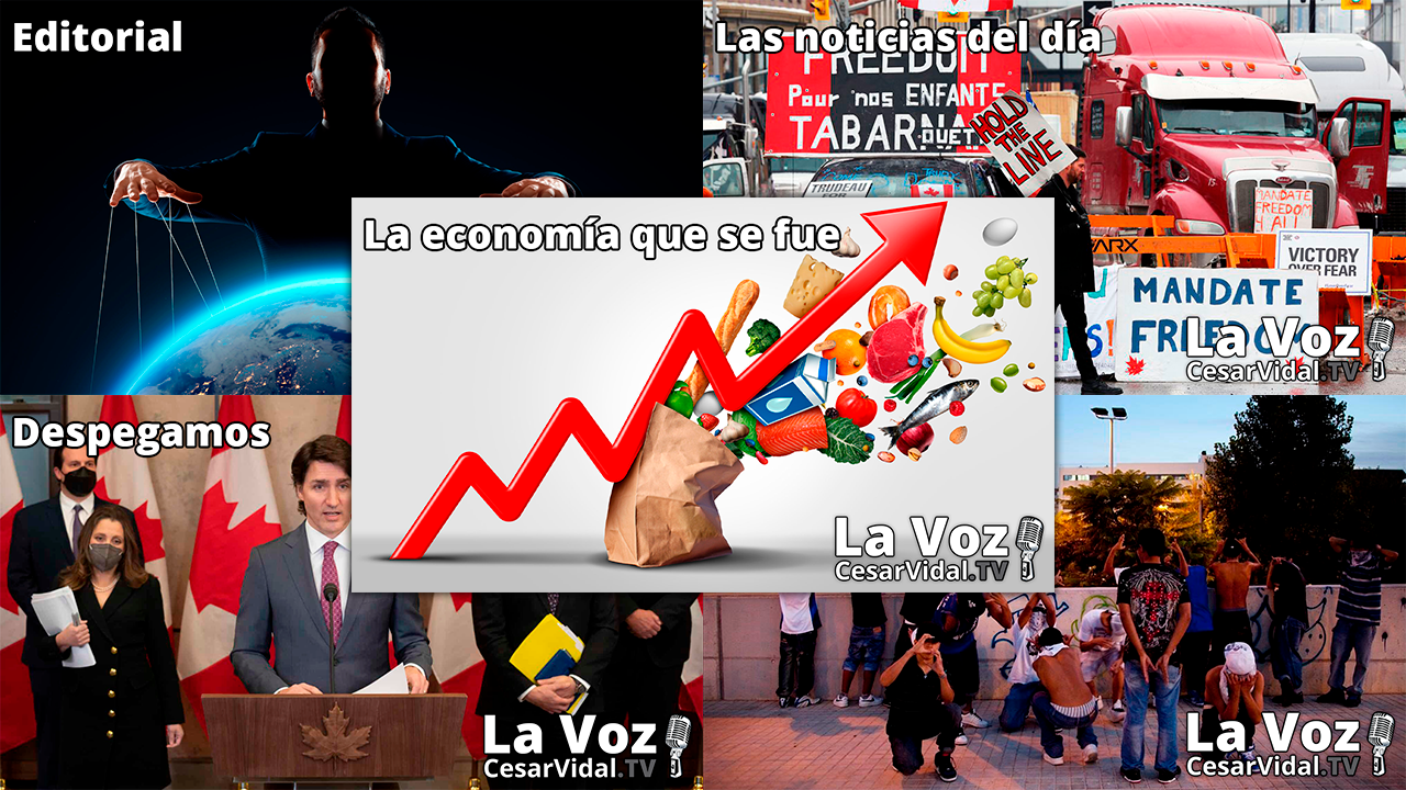 Programa Completo - 15/02/22