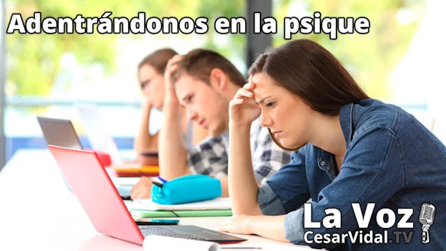 Mitos y realidades de los adultos hip...