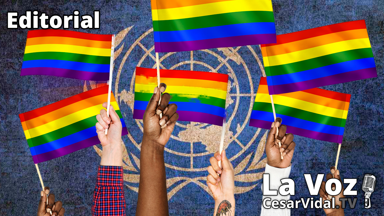 La ONU sigue imponiendo la ideología de género - 02/07/21