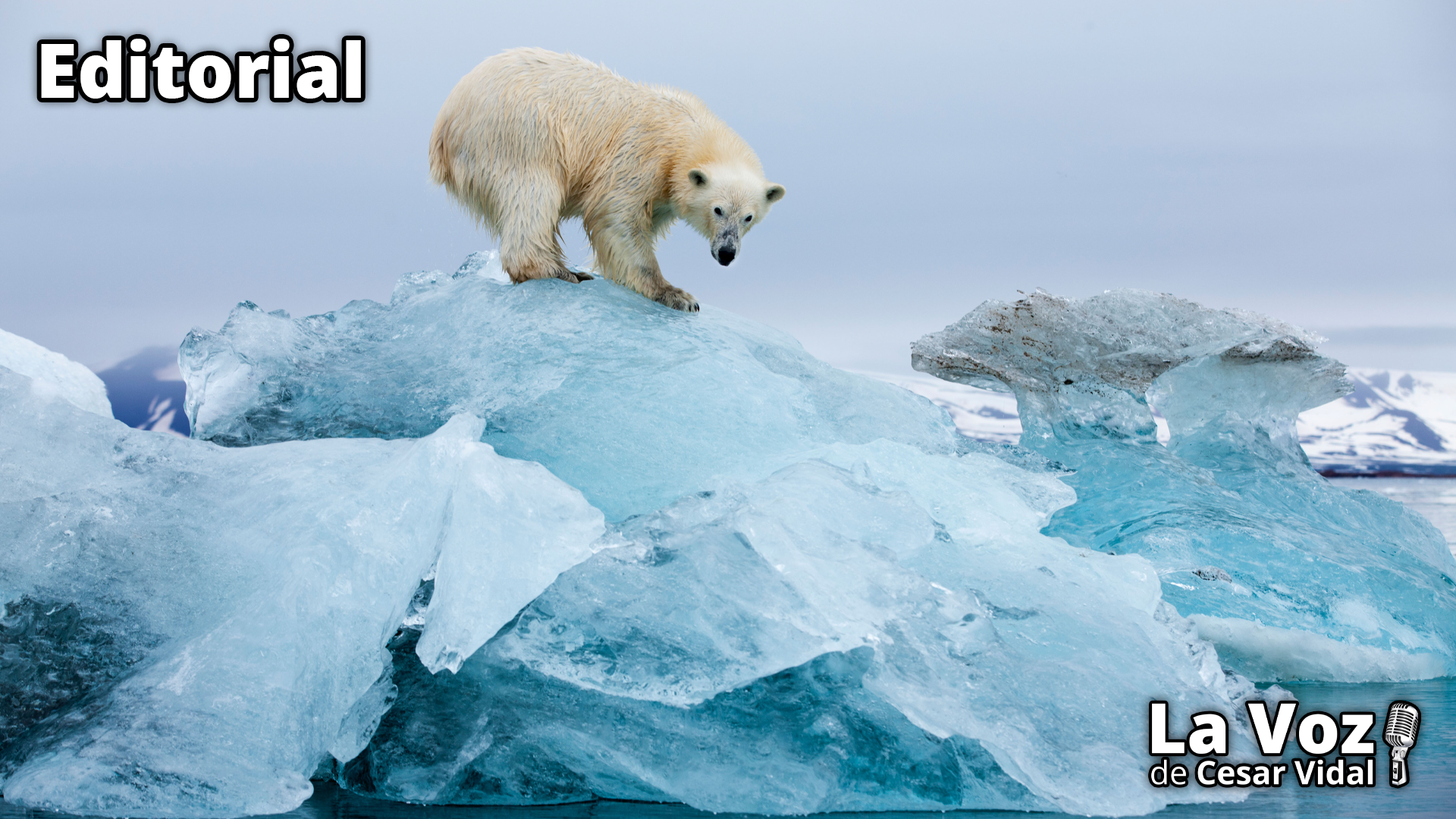 Desmintiendo el Cambio Climático - 25/09/25