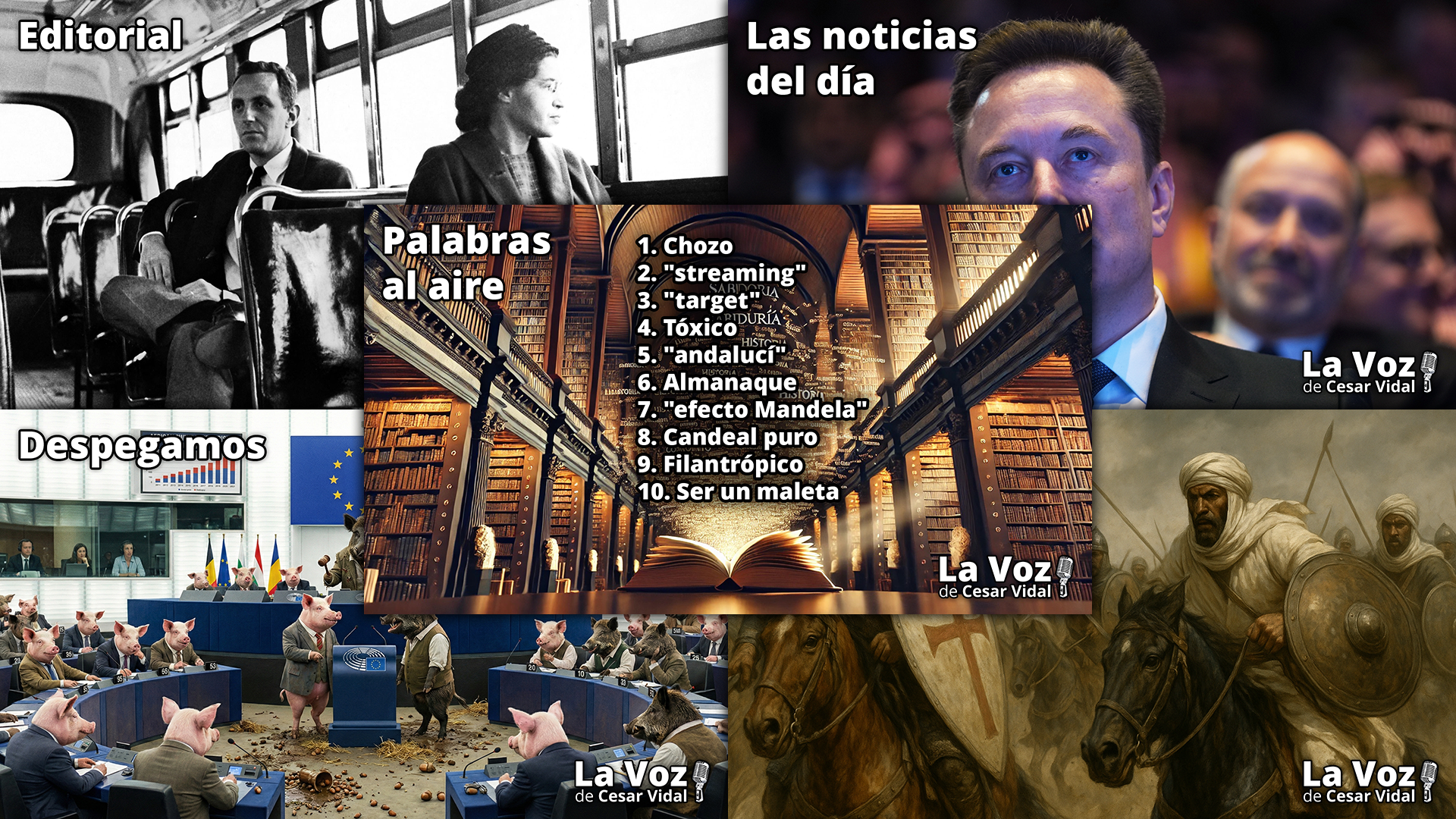 Programa Completo - 08/12/25