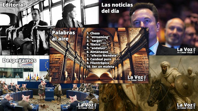 Programa Completo - 08/12/25