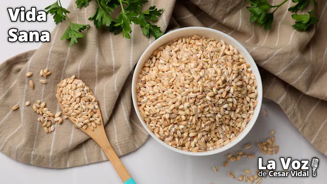 El cereal de los zares - 22/04/26