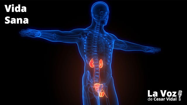 La salud de su próstata (2) - 01/10/25