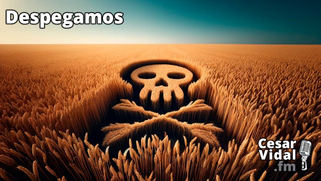 Los juegos del hambre, multas verdes ...