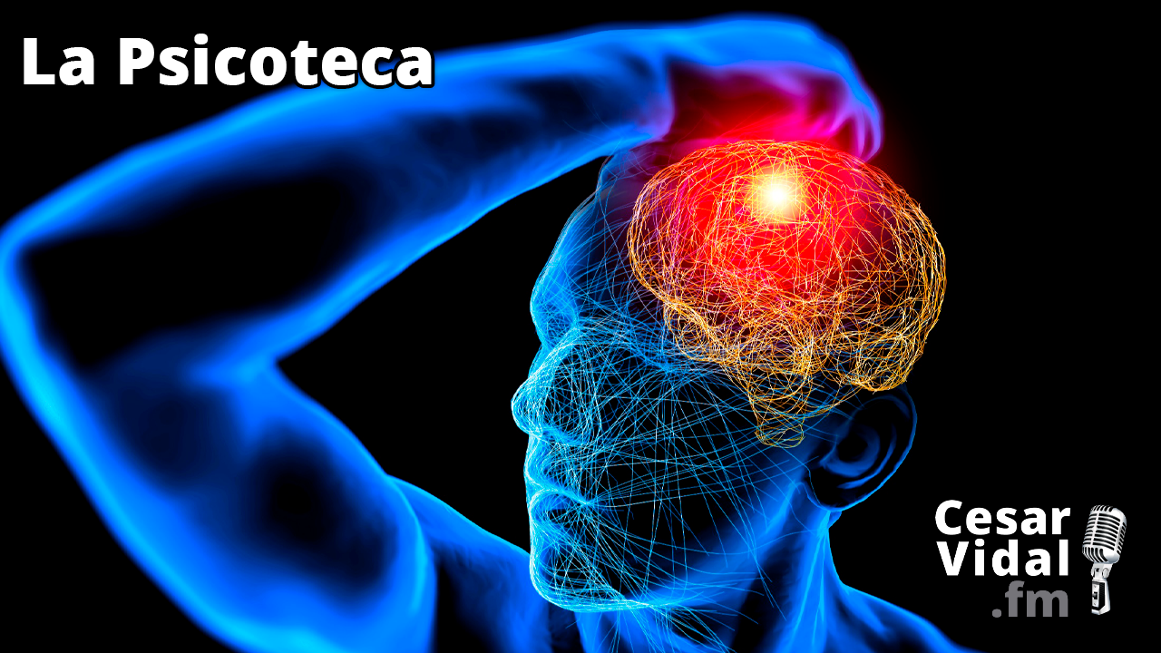 Entrena tu prefrontal - 07/12/22