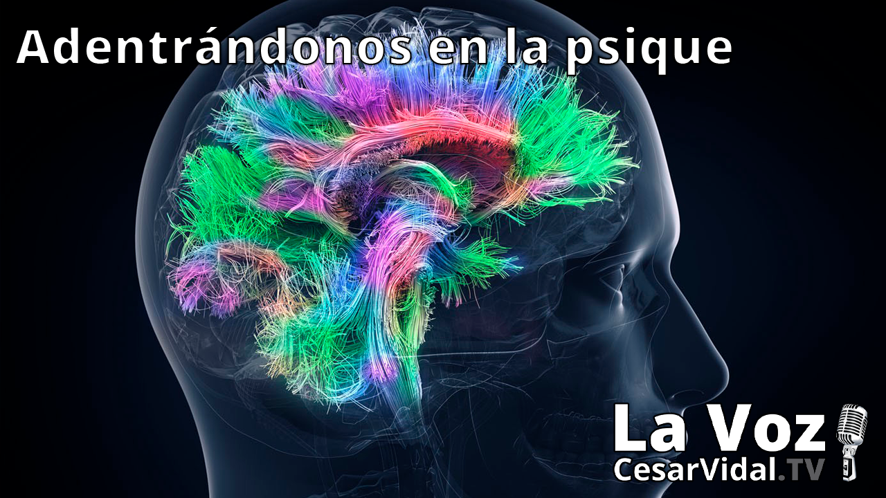 La neuropsicología de las emociones (2) - 20/01/21