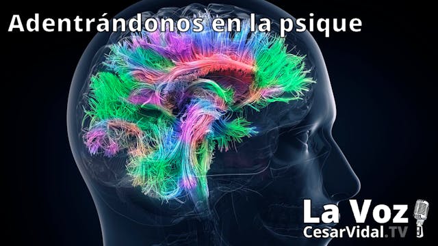 La neuropsicología de las emociones (...