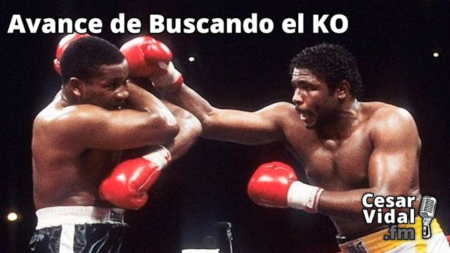 Avance de Buscando el KO - 27/09/24