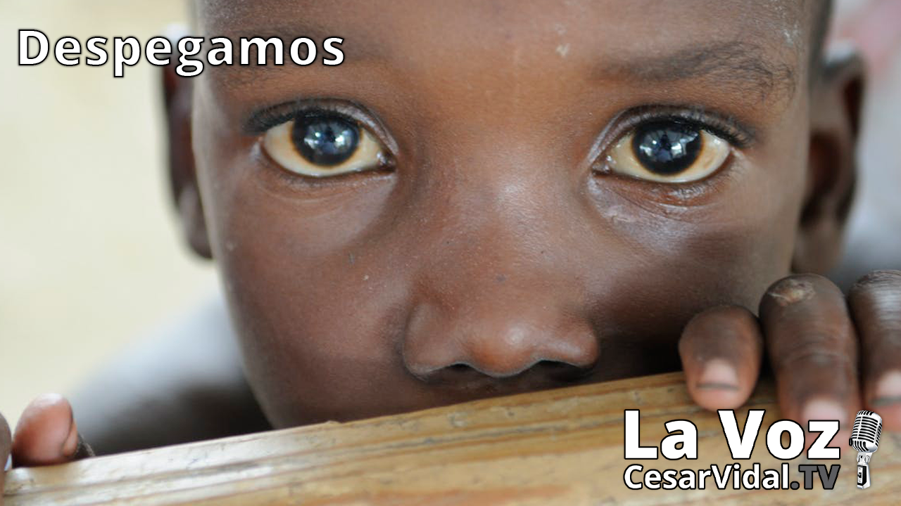 La verdad oculta tras las ONG: herramientas de la plutocracia para el NOM