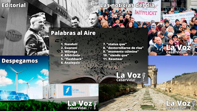 Programa Completo - 15/11/21