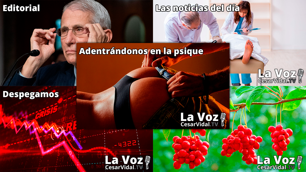 Programa Completo - 19/01/22