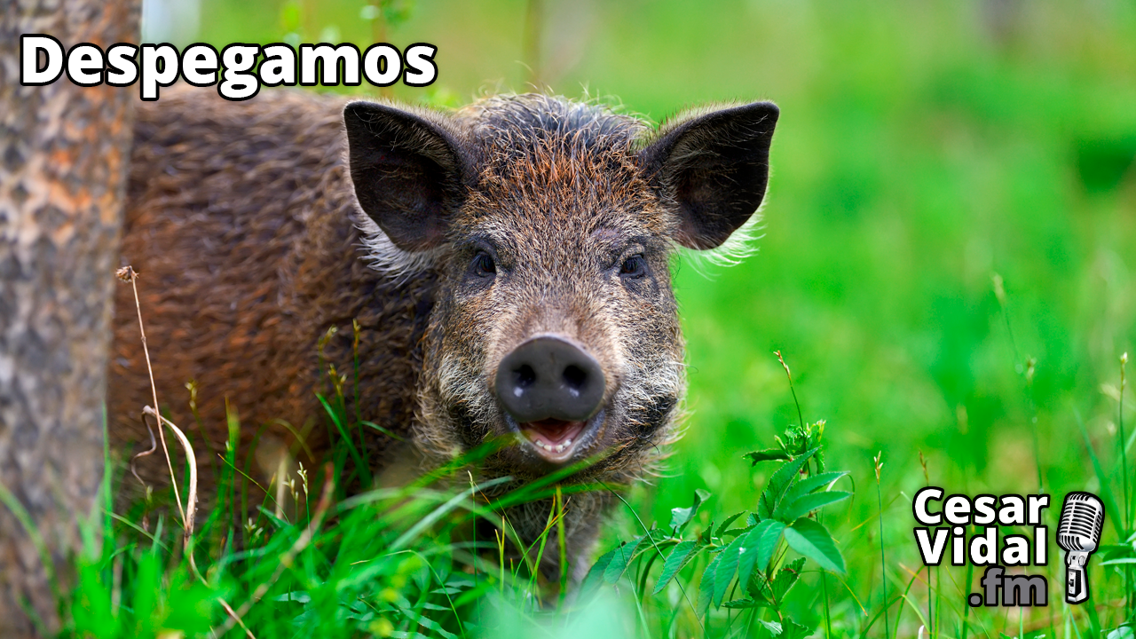  Recesión y ajustes en EU, guerra fiscal en EEUU y la India abandona petrodólar