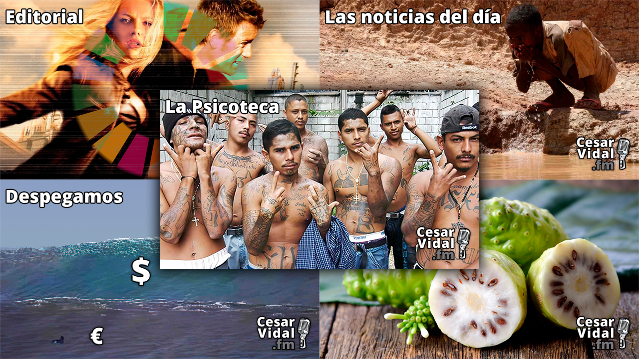 Programa Completo - 22/03/23