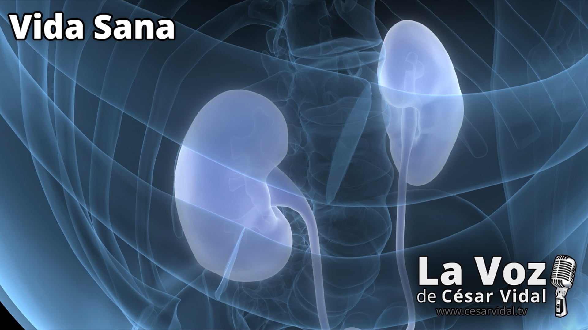 Dale vida a tus riñones - 05/03/25