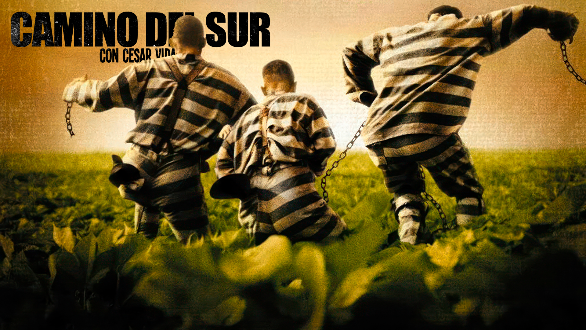 Camino del Sur - 30/07/23