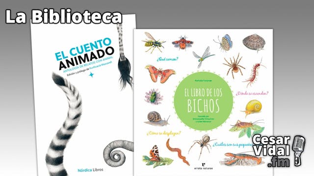 "El cuento animado" y "El libro de lo...