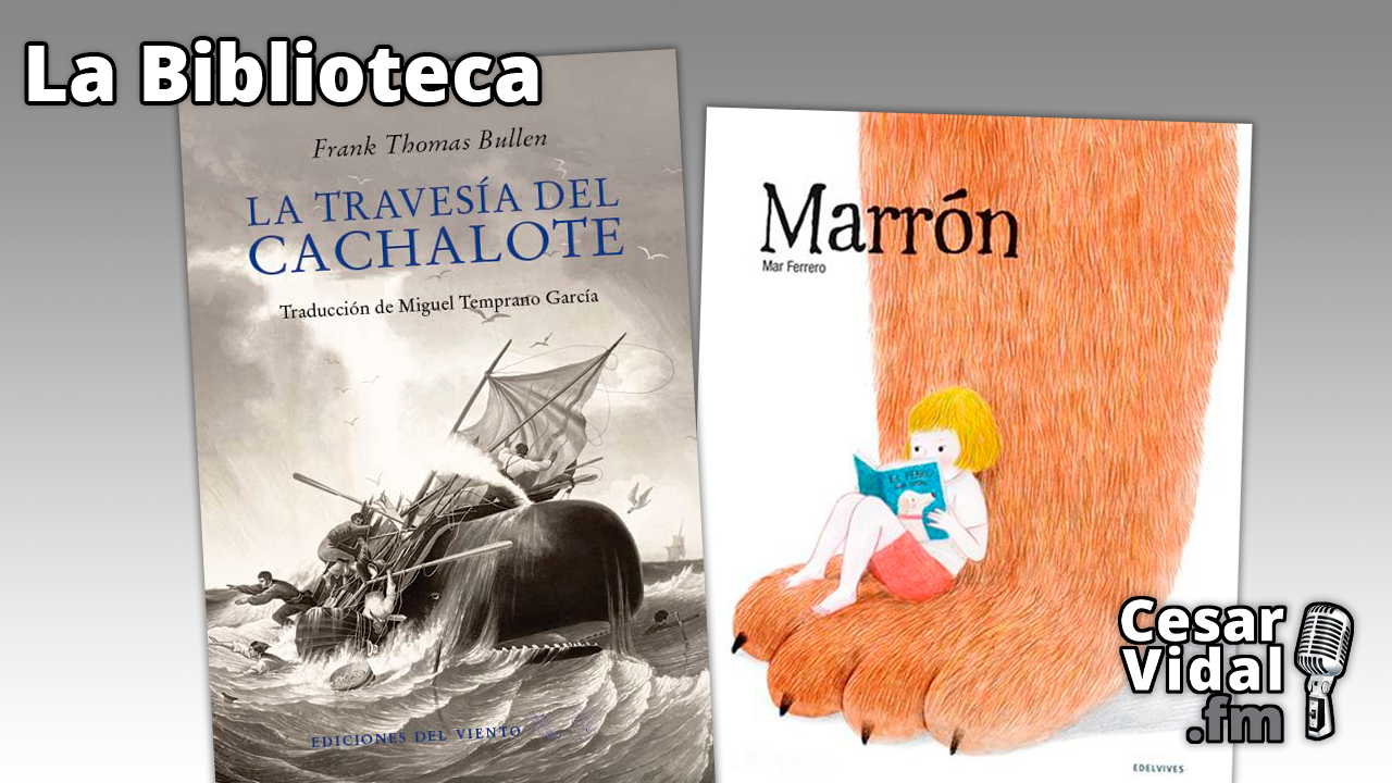"La travesía del cachalote" y "Marrón" - 26/01/23
