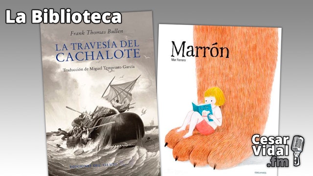 "La travesía del cachalote" y "Marrón" - 26/01/23