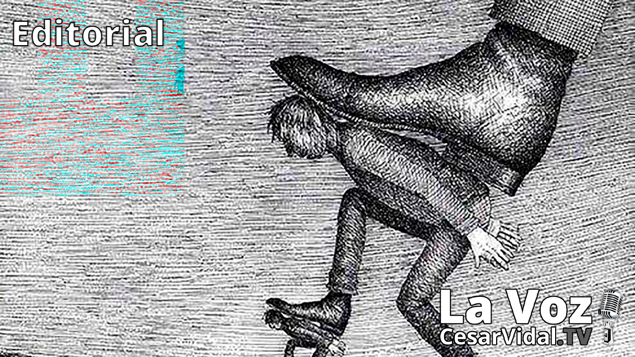 Los autónomos de los huevos de oro - 02/12/20